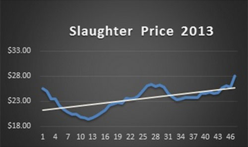 precio de sacrificio de cerdos 2013, genesus, jim long, el sitio porcino