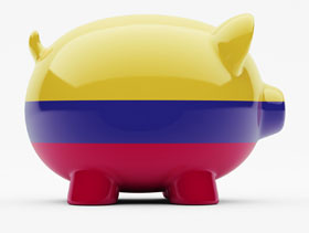industria porcina en Colombia