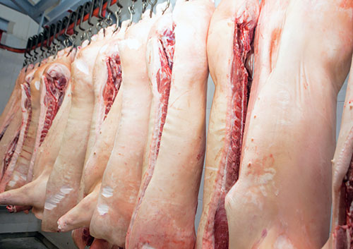 16-11-25-1-procesamiento de cerdos, salud porcina- El Sitio Porcino 