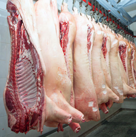 precio de carne en el d f, la ciudad de mexico, el sitio porcino, chris wright