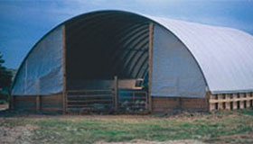 Los costos de producción de cerdos de engorde bajo cobertizos de aros, construidos con una fracción del costo necesario para levantar una estructura co vencional de crianza en confinamiento, se han reducido en $4 por cabeza. Foto por Jerry DeWitt 