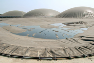 Los procesos de biodegradación de los excrementos se desarrollan dentro del biodigestor, que es la tecnología utilizada para realizar la fermentación anaeróbica y la producción de biogás