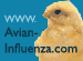 More on Avian Influenza