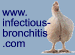 More on Infectious Bronchitis