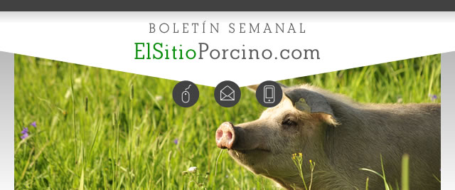 ElsitioPorcino