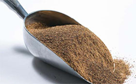 pienso para cerdos con pasta de canola