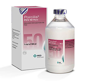 MSD salud animal, merck, porcinos