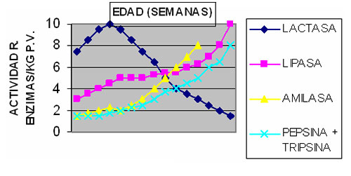 Manejo de cerdito destetado precoz,Ing. Joaquin A. Paulino, el sitio porcino,chris wright