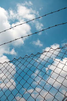  bioseguridad en granjas de cerdos, industria porcina, el sitio porcino, chris wright, editor,