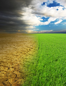  bioseguridad en la granja de cerdos, cambio climatico, el sitio porcino,chris wright,