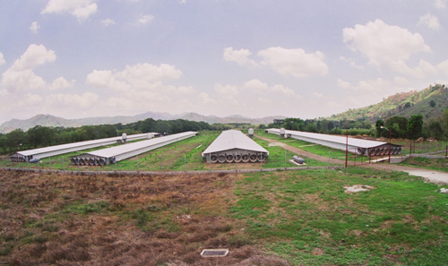 bioseguridad en la granja y cambio climatico, el sitio porcino, chris wright