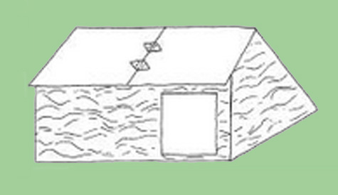 alojamiento para cerdos al aire libre, el sitio porcino, chris wright, editor