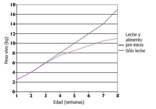 lechones, nutricion porcina, el sitio porcino, chris wright