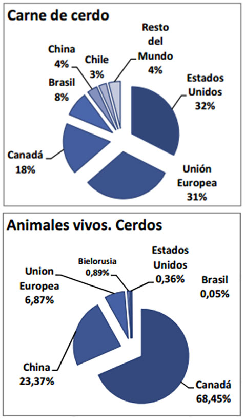  exportadores de carne de cerde, porcinos, el sitio porcino