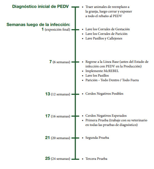 diagnostico para PED, PEDV, el sitio porcino, chris wright