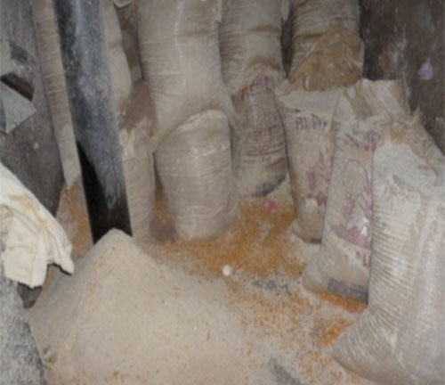 alimentos balanceados para cerdos- el sitio porcino