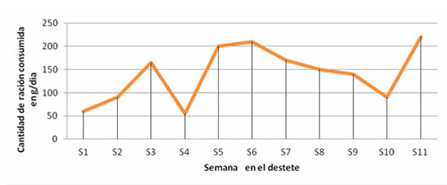 IMAGE NAME/DESCRIPTION