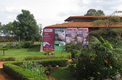 merial espana, el sitio porcino