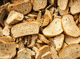 alimentos balanceados para cerdos, el sitio porcino