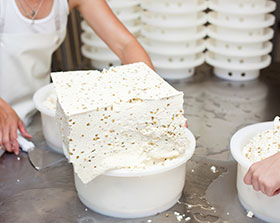  El suero líquido es un subproducto de la fabricación de quesos 