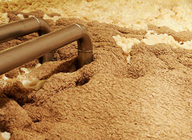  alimentacion liquida para cerdos, piensos para cerdos, el sitio porcino