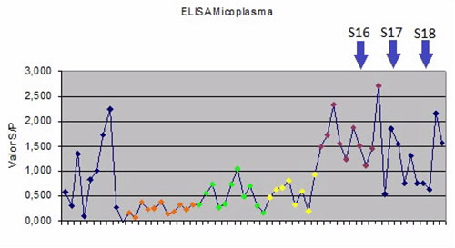 salud porcina, el sitio porcino, chris wright