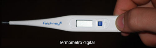 uso de termómetro digital con cerdos