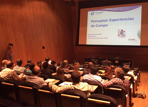 reproductor de la cerda, MSD, Repropig