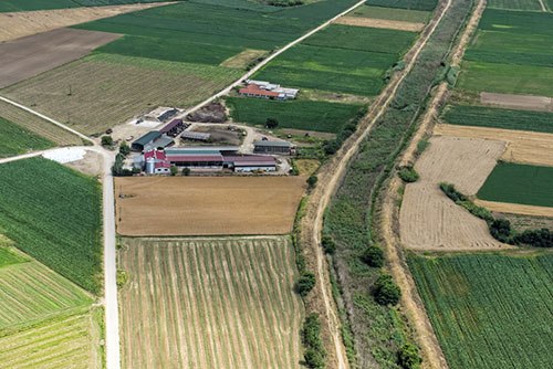 PRRS-bioseguridad en la granja-el sitio porcino