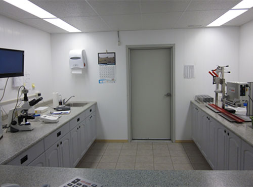 ,coleccion-de-semen-porcino-fresco,-el-sitio-porcino