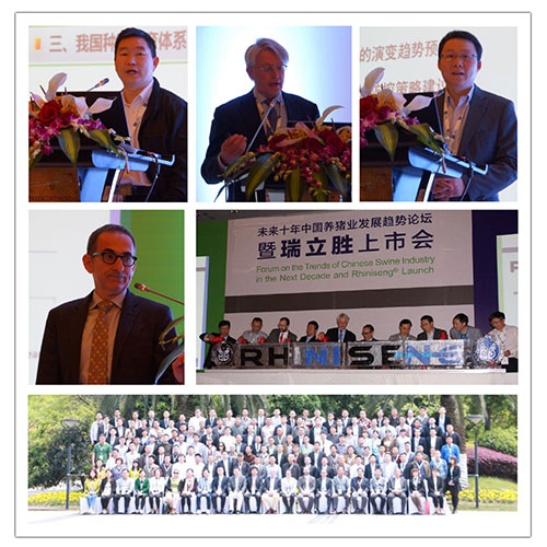 Hipra, el sitio porcino, salud porcino,