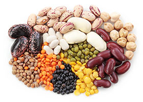 nutricion porcina, marranas, ensilaje-el sitio porcino