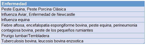 -peste porcina clasica-bioseguridad-cerdo