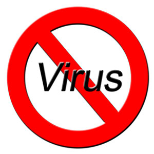 desinfección de los galpones porcinos