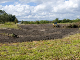 desechos de cerdos, el sitio porcino