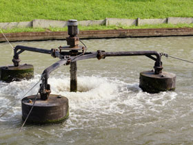 laguna de desechos porcinos ElSitioPorcino