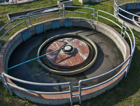 efluentes porcinos  ElSitioPorcino