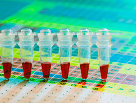 prueba de laboratorio    elsitioporcino