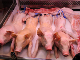 lechones carniceria Espana   ElSitioPorcino