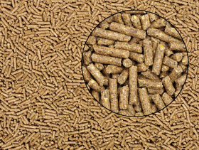 alimento peletizado   El Sitio Porcino