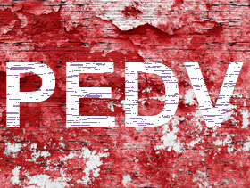 PEDV    el sitio porcino