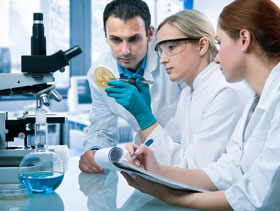 investigación posgrado 