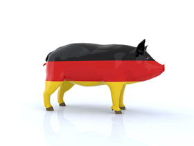 porcicultura alemana
