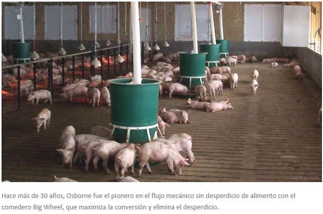 Estoy orgulloso Observar desinfectante Comederos para cerdos de Osborne - El Sitio Porcino