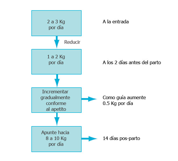haga clic en la figura para ampliar