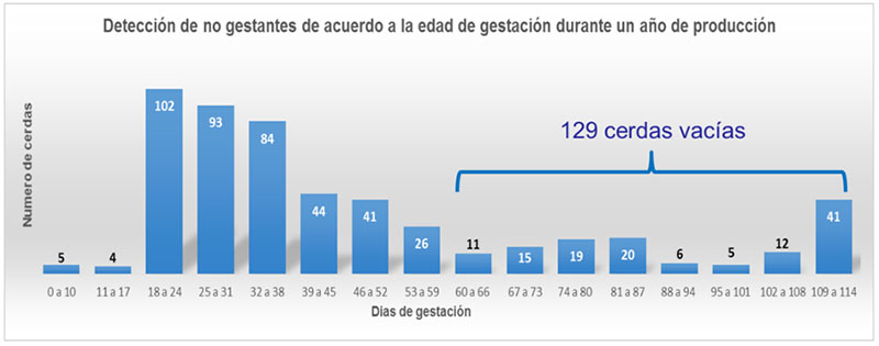 haga clic en la figura para ampliar