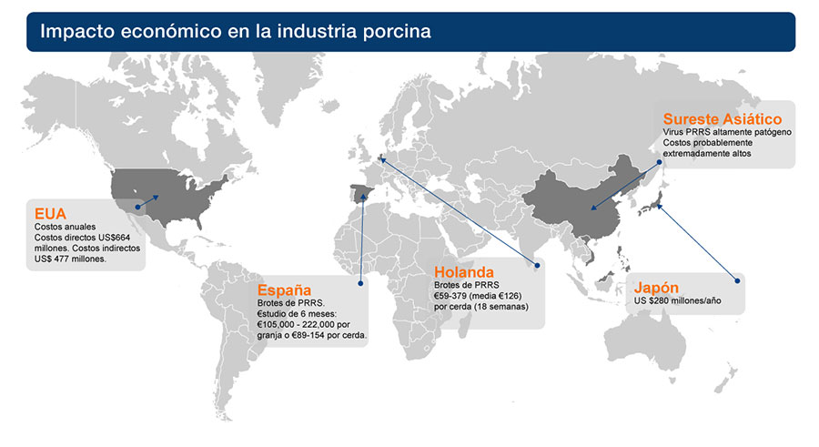 haga clic en la figura para ampliar