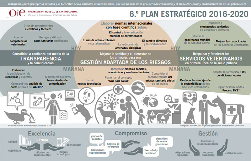 haga clic en la figura para ampliar